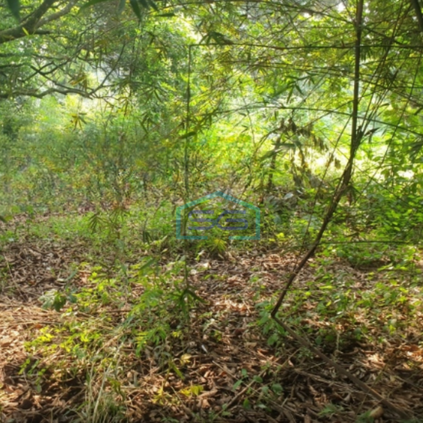 Dijual Tanah Luas 80000 m² Lokasi Bogor-1