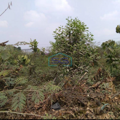 Dijual Tanah di Serang Balaraja Tangerang Dipinggir Jalan Raya LT 12000m2