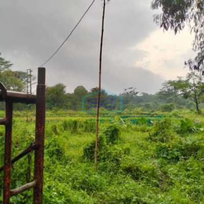 Dijual Tanah Lokasi Bogor Jawa Barat Luas  30000 m²