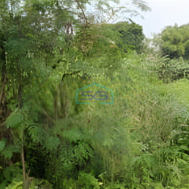 Dijual Tanah Lokasi Setu Tangerang Selatan Luas 4000 m²-1