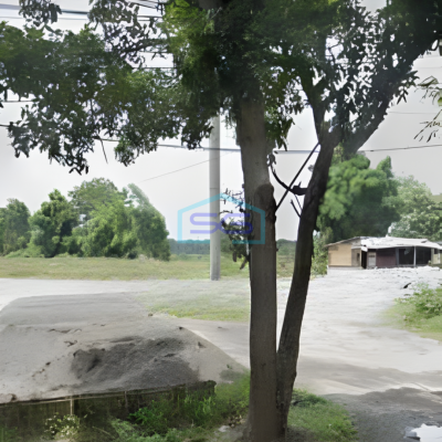 Dijual Tanah Luas  8000 m² Lokasi Tigaraksa Tangerang