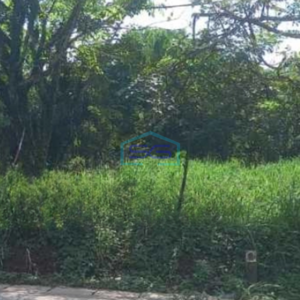 Dijual Tanah Luas  12000 m² Lokasi Bebas Banjir di Bogor-1