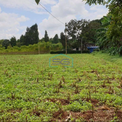 Dijual Tanah di Pinggir jalan Raya Cisauk Tangerang LT 4000m2