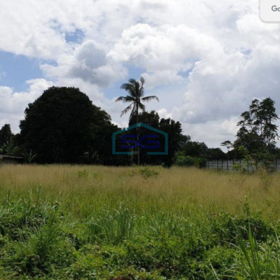 Dijual Tanah di Cisauk Tangerang Luas 2000m2 Lokasi Strategis di Pinggir Jalan