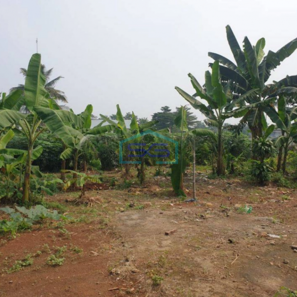 Dijual Tanah SHM Luas 9000m² di Parung Bogor Cocok Untuk Ruko Dan Gudang-1