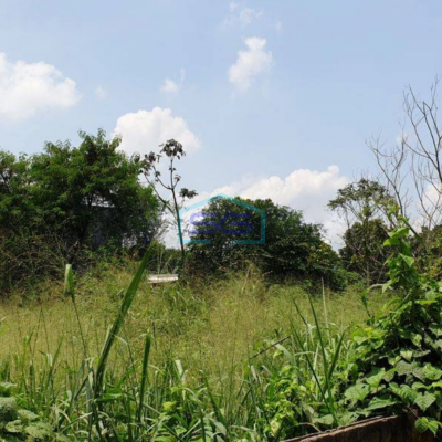 Dijual Tanah Dipinggir Jalan Raya Gunung Sindur Bogor Wilayah Izin Industri LT 32000m2