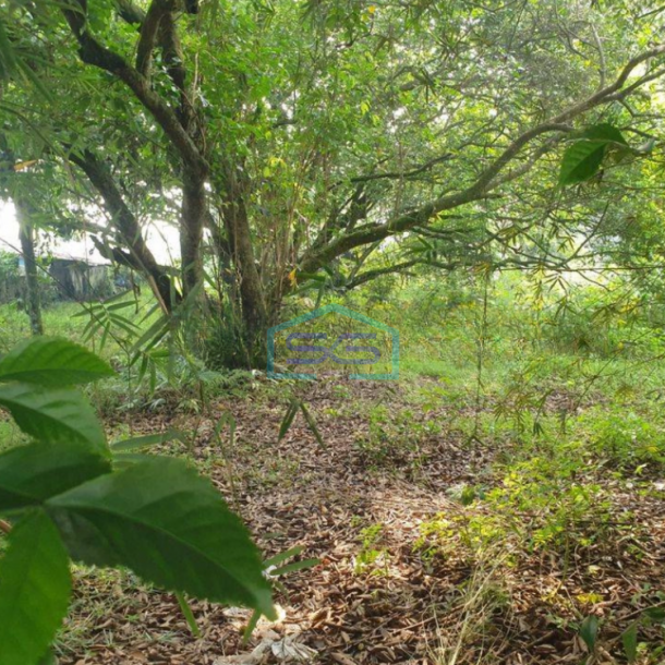 Dijual Tanah SHM 8 Hektar di Jalan Raya Parung Bogor CocoK Untuk Pergudangan-1