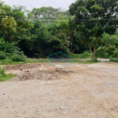 Dijual Tanah Dipinggir Jalan di Desa Bugel Tigaraksa Tangerang LT 8000m2