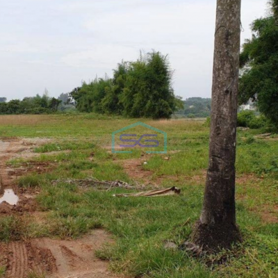 Dijual Tanah Dipinggir Jalan di Desa Bugel Tigaraksa Tangerang LT 8000m2