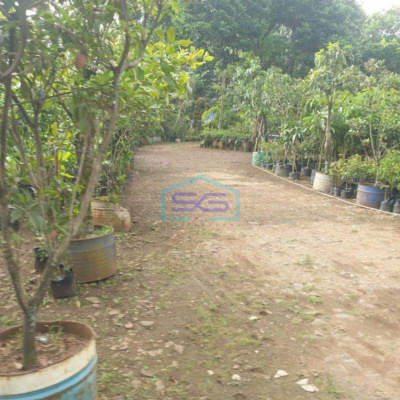 Dijual Tanah Luas 2 Ha Surat SHM di Curug Gunung Sindur Bogor Lokasi Strategis Dipinggir Jalan