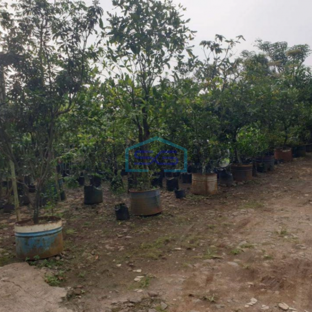 Dijual Tanah Luas 2 Ha Surat SHM di Curug Gunung Sindur Bogor Lokasi Strategis Dipinggir Jalan-2