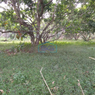 Dijual Tanah di Daerah Kutruk Tigaraksa Tangerang Dipinggir Jalan LT 6300m2