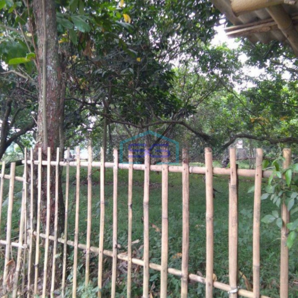 Dijual Tanah di Daerah Kutruk Tigaraksa Tangerang Dipinggir Jalan LT 6300m2-2