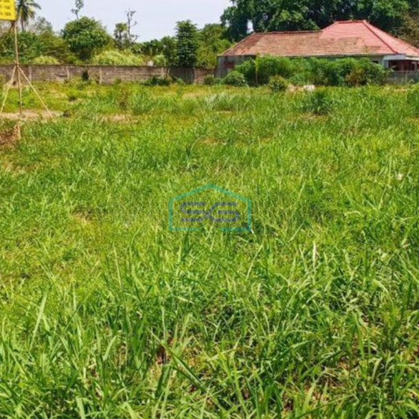 Dijual Tanah di pinggir Jalan Raya Cibadung Gunung Sindur Bogor LT 5568m2-1