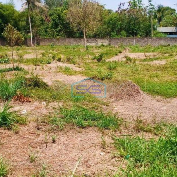 Dijual Tanah di pinggir Jalan Raya Cibadung Gunung Sindur Bogor LT 5568m2-3