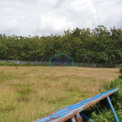 Dijual Tanah LT 10200m2 di Desa Ciangir Legok Tangerang