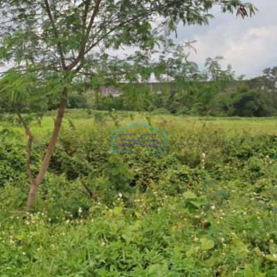 Dijual Tanah di Kutruk Panongan Tangerang Luas 1,7 Hektar