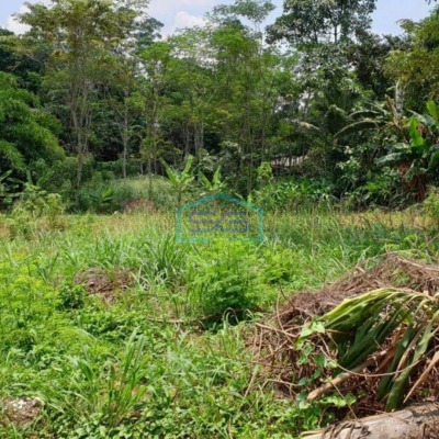 Dijual Tanah Luas 7000m2 di Cidokom Gunung Sindur Bogor