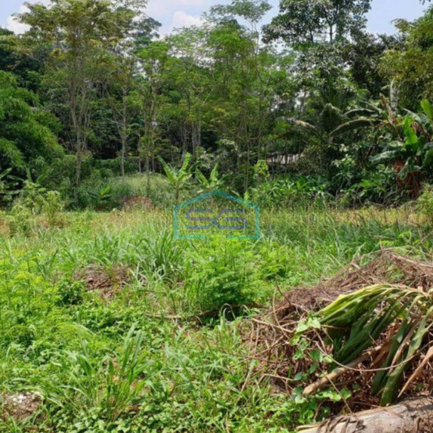 Dijual Tanah Luas 7000m2 di Cidokom Gunung Sindur Bogor-1