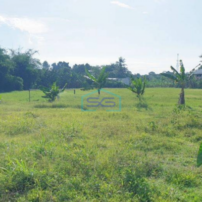 Dijual Tanah Industri di Gunung Sindur Bogor SHM LT 9765m2