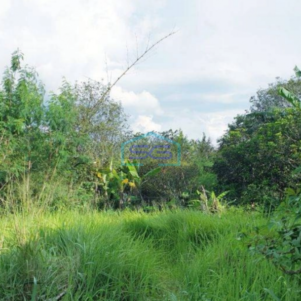 Dijual Tanah di Desa Curug Bogor SHM Luas 7090m² Cocok Untuk Gudang atau Pabrik-1