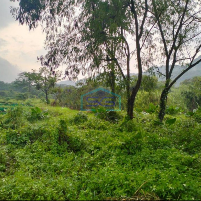 Dijual Tanah di Kembang Kuning Klapanunggal Bogor Zona Industri Luas 3 Hektar