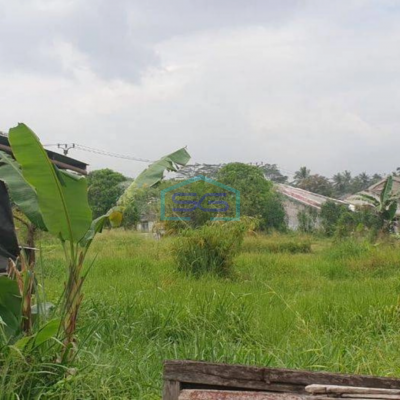 Dijual Tanah di Desa Cibinong Gunung Sindur Bogor LT 5503m2 Lokasi Strategis Pinggir Jalan Raya