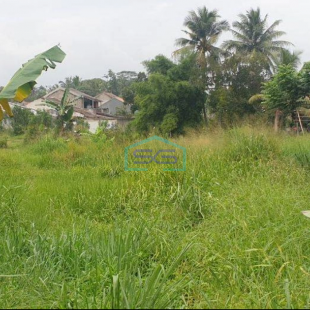 Dijual Tanah di Desa Cibinong Gunung Sindur Bogor LT 5503m2 Lokasi Strategis Pinggir Jalan Raya-1