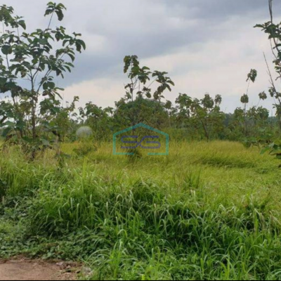 Dijual Tanah di Desa Bantar Panjang Cileles Tigaraksa Tangerang Luas 1,4 Hektar