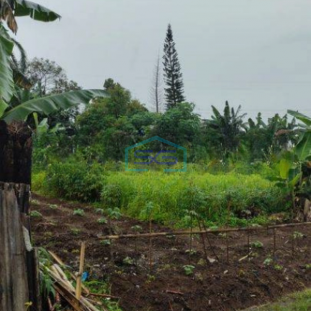 Dijual Tanah di Jampang Kec Kemang Bogor Seluas 12.5 Hektar Dipinggir Jalan Raya Ismed-2