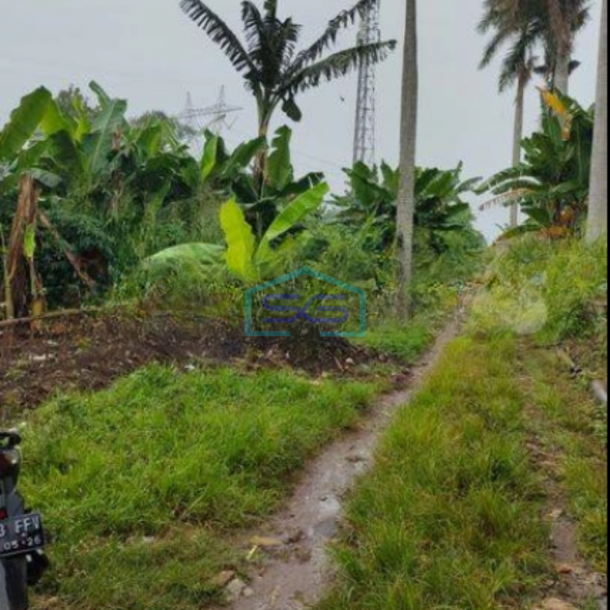 Dijual Tanah di Jampang Kec Kemang Bogor Seluas 12.5 Hektar Dipinggir Jalan Raya Ismed-1