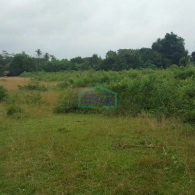 Dijual Tanah di Maloko Dangdang Cisauk Tangerang LT 10000m2