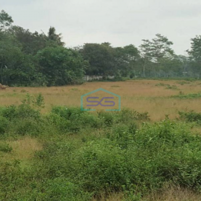 Dijual Tanah di Maloko Dangdang Cisauk Tangerang LT 10000m2