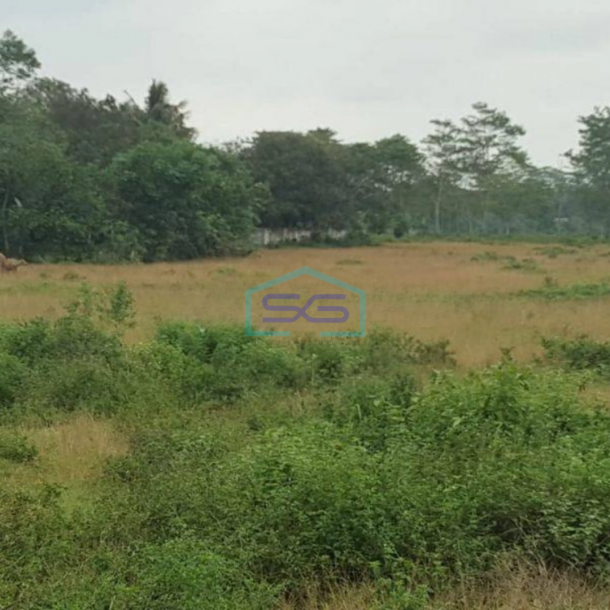 Dijual Tanah di Maloko Dangdang Cisauk Tangerang LT 10000m2-1