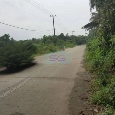 Dijual Tanah di Maloko Dangdang Cisauk Tangerang LT 10000m2