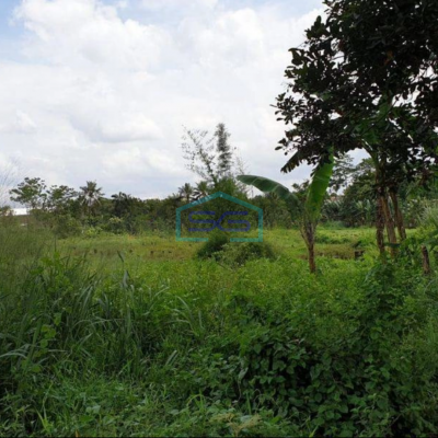 Dijual Tanah di Daerah Industri Pergudangan Gunung Sindur Bogor LT 11000m2