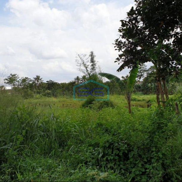 Dijual Tanah di Daerah Industri Pergudangan Gunung Sindur Bogor LT 11000m2-1