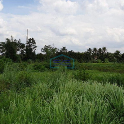 Dijual Tanah di Daerah Industri Pergudangan Gunung Sindur Bogor LT 11000m2