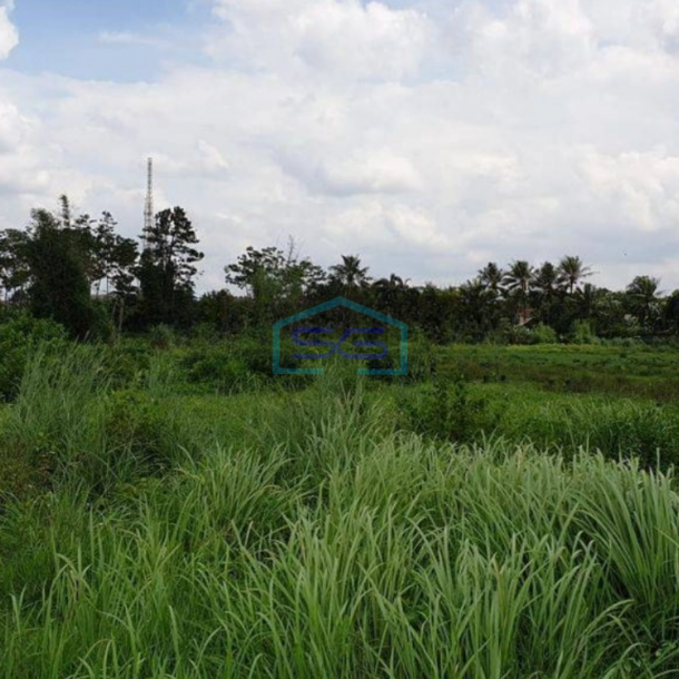 Dijual Tanah di Daerah Industri Pergudangan Gunung Sindur Bogor LT 11000m2-2