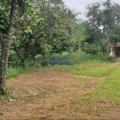 Dijual Tanah Di Parung Bogor Samping Gudang Alfa LT 9000m2