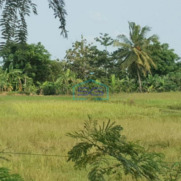 Dijual Tanah di Kareo Jawilan Cikande Serang Luas 9 Hektar Dipinggir Jalan Raya-1