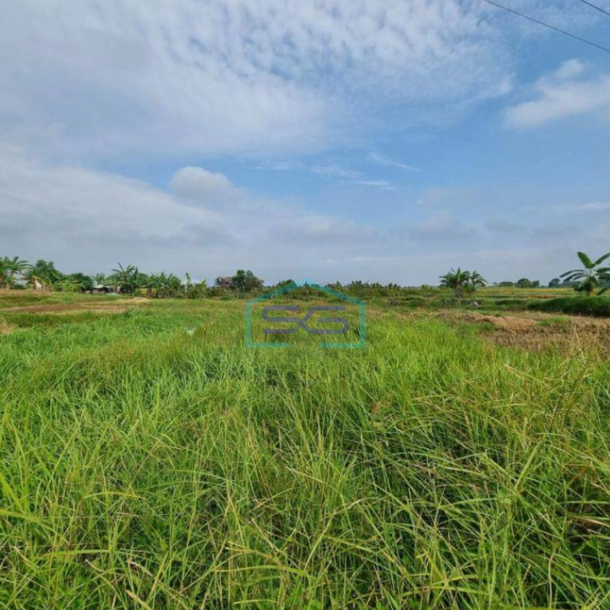 Dijual Tanah 140 Hektar di Pinggir Jalan Raya Utama Cikande Serang Dalam Kawasan Industri-1