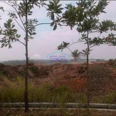 Dijual Tanah Lokasi Tanah di Tigaraksa Cileles Tangerang Luas 11 Hektar