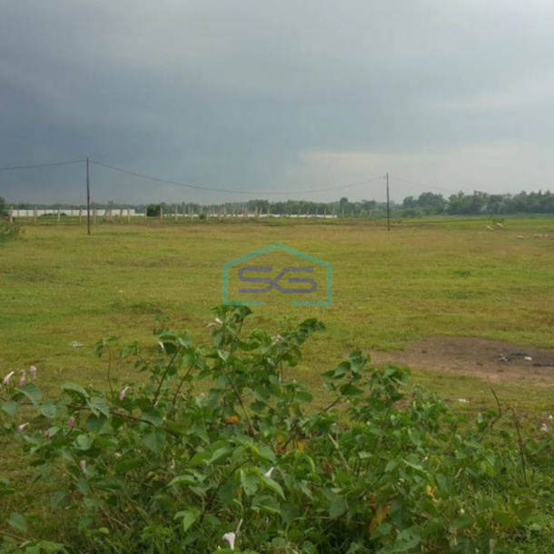Dijual Tanah Luas 9 Hektar di Jawilan Pasir Limus Serang Lokasi Di Pinggir Jalan Raya-1