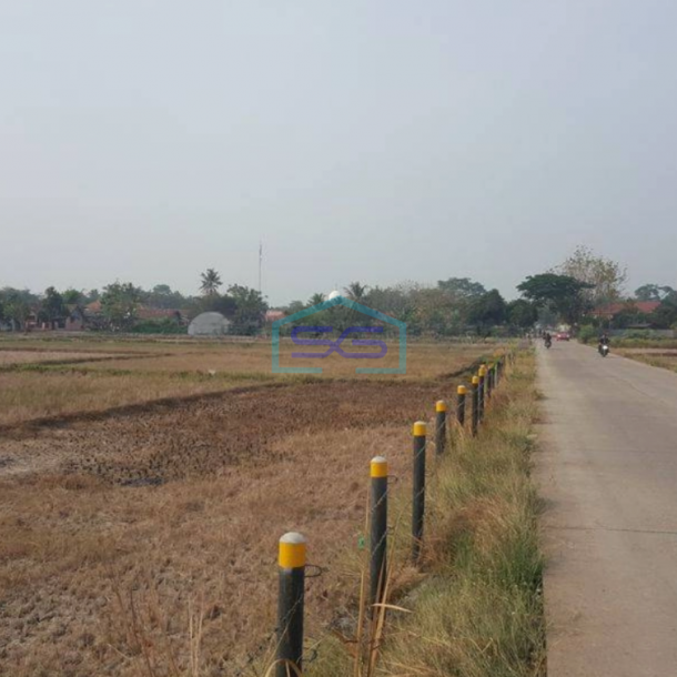 Dijual Tanah Luas 2 hektar di Ciruas Serang Lokasi Strategis Daerah Industri-1