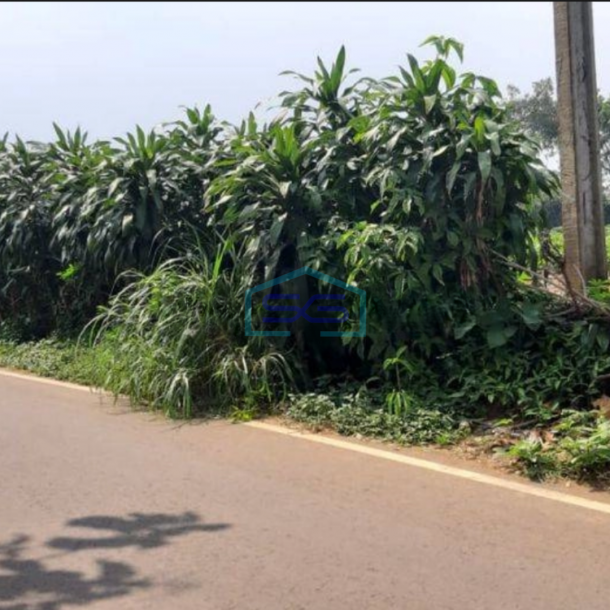 Dijual Tanah di Pinggir Jalan Raya Cidikom Gobang Rumpin Bogor LT 4600m2-2