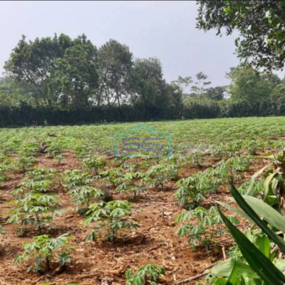 Dijual Tanah di Pinggir Jalan Raya Cidikom Gobang Rumpin Bogor LT 4600m2