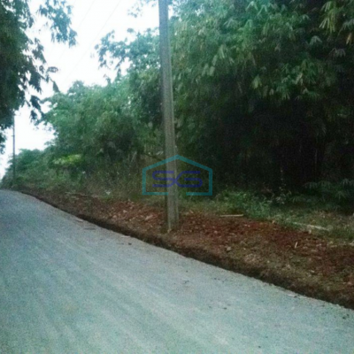 Dijual Tanah di Desa Jampang Gunung Sindur Bogor LT 10000m2-2