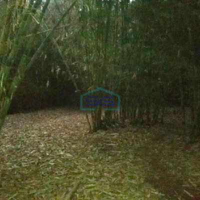 Dijual Tanah di Desa Jampang Gunung Sindur Bogor LT 10000m2-1