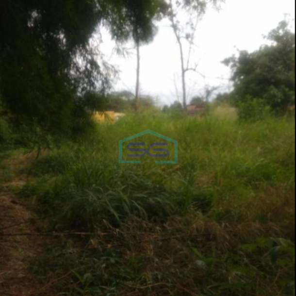 Dijual Tanah di Pinggir Jalan Raya Pengasinan Gunung Sindur Bogor LT 4894m2-1